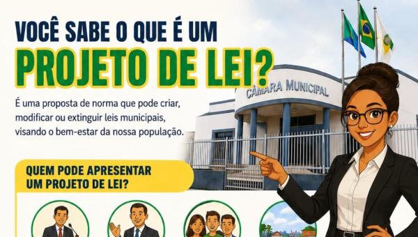 COMO É ELABORADO UM PROJETO DE LEI? 