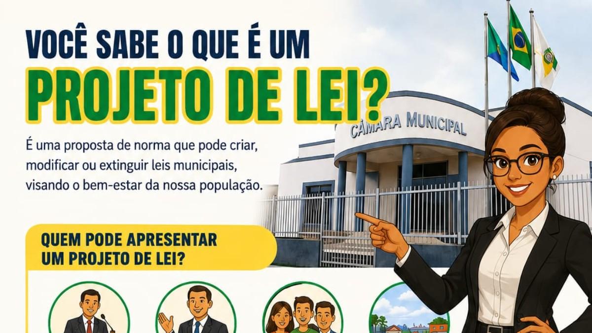 COMO É ELABORADO UM PROJETO DE LEI? 